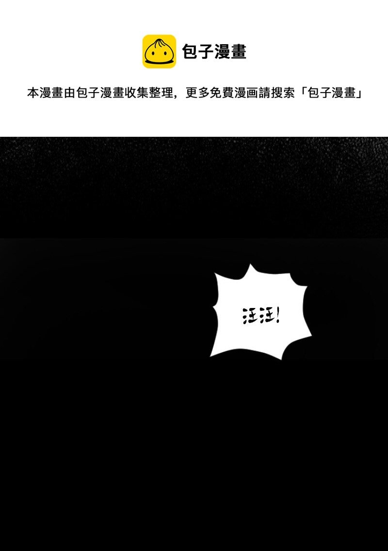 02 路遇狼群
