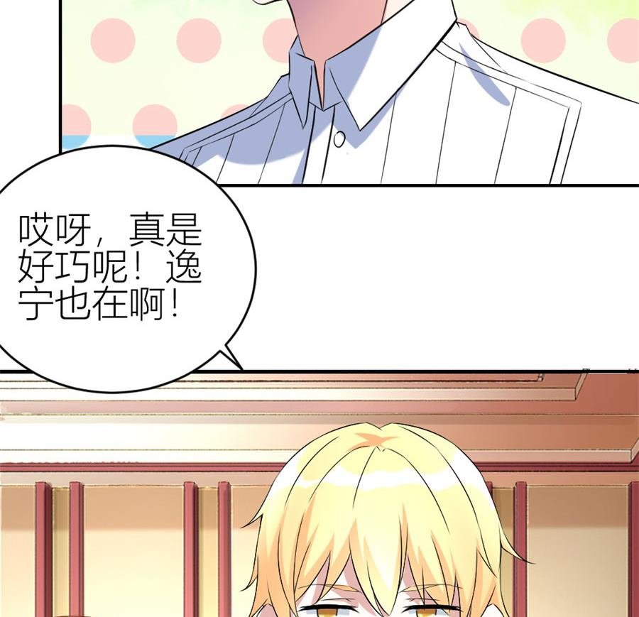 贺总只在乎小柒