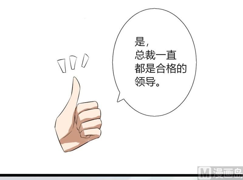 体恤下属的好总裁