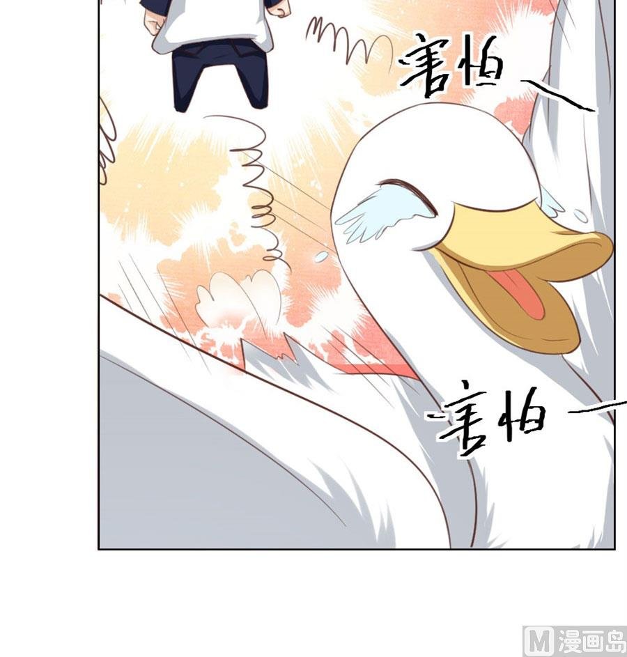 舍不得下来？