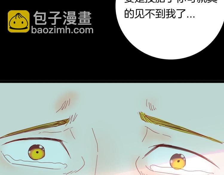 第104话 归乡（下）