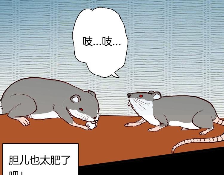 第119话 鼠疫