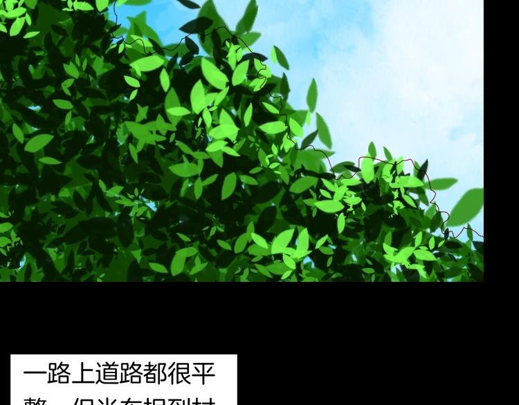 第120话 盆景艺术家（上）