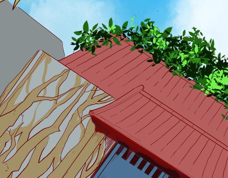 第120话 盆景艺术家（上）