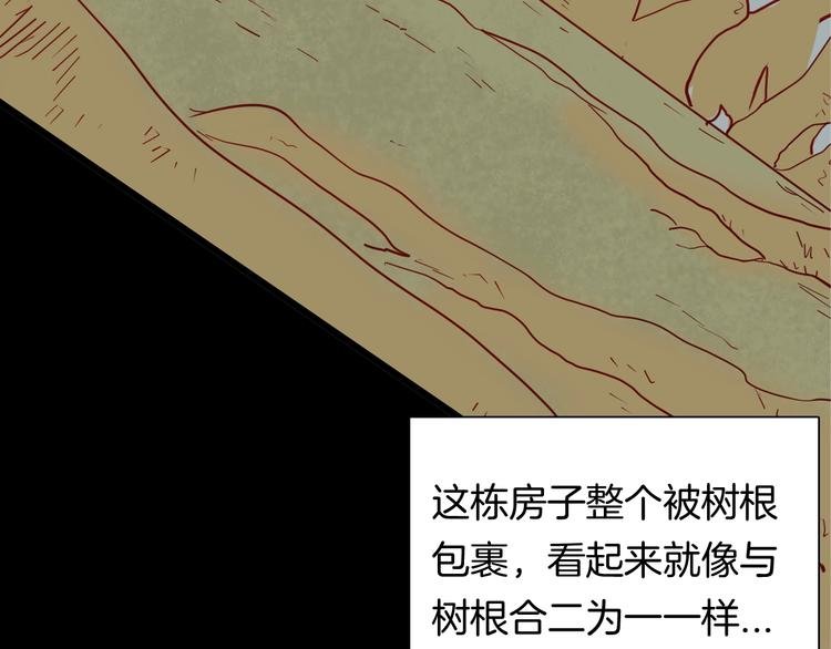 第120话 盆景艺术家（上）