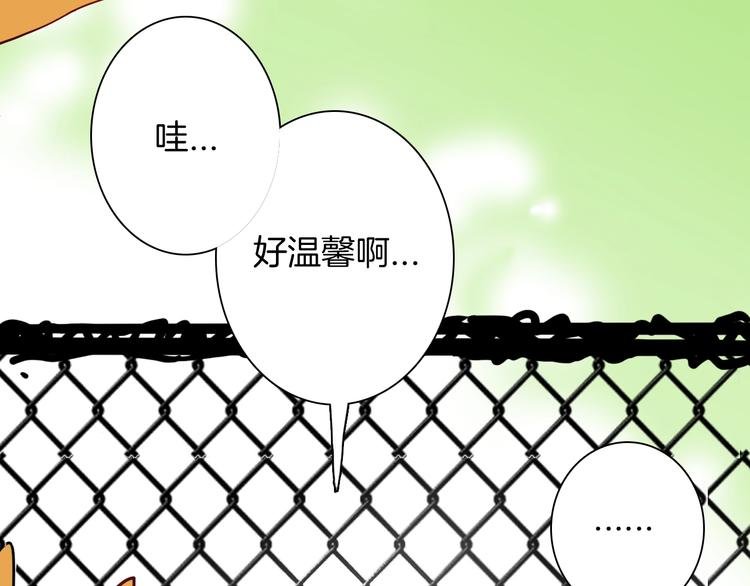 第138话 袋鼠（上）
