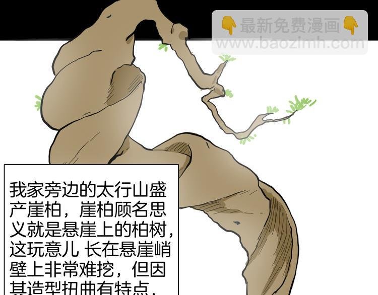 第146话 崖柏（上）