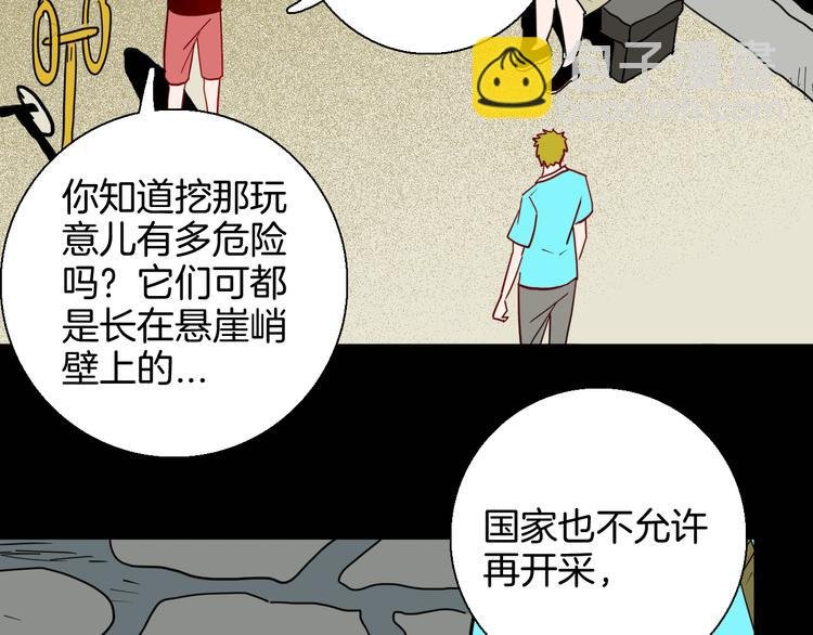 第146话 崖柏（上）