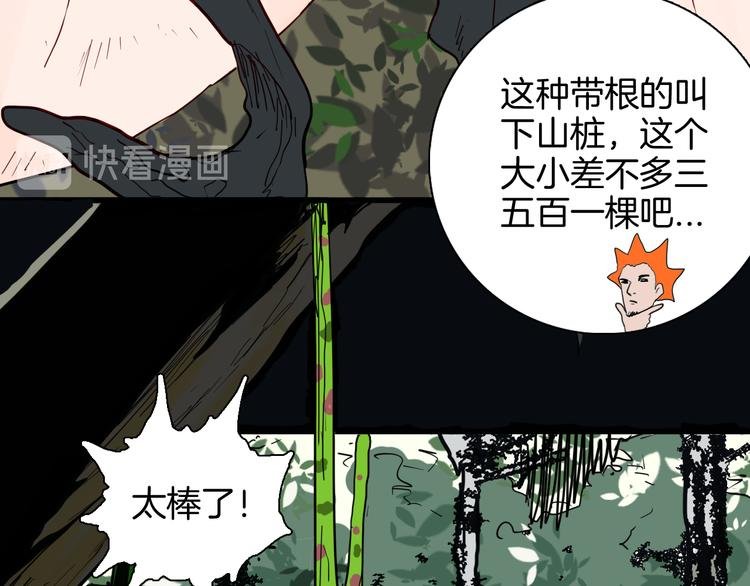 第146话 崖柏（上）