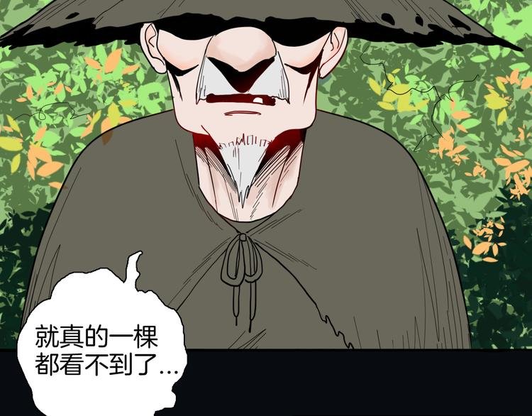 第146话 崖柏（上）