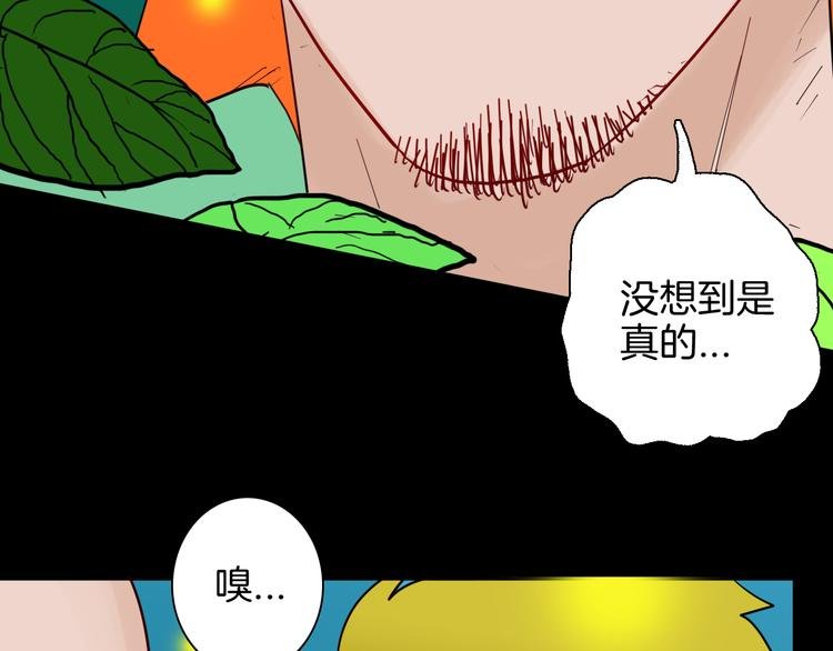 第147话 崖柏（下）
