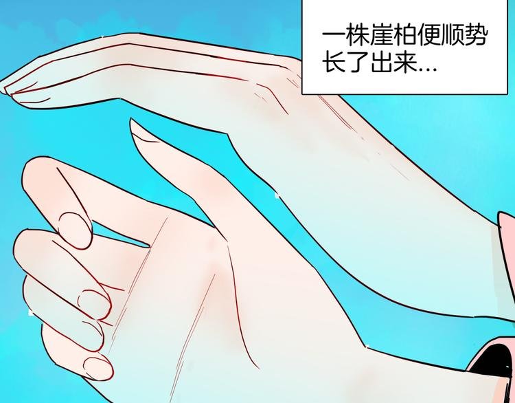 第147话 崖柏（下）
