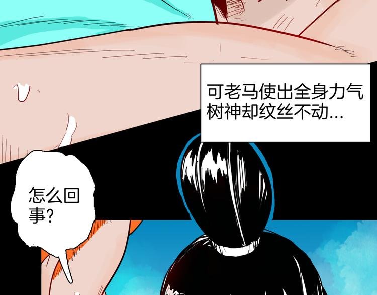 第147话 崖柏（下）