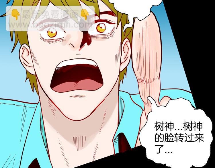 第147话 崖柏（下）
