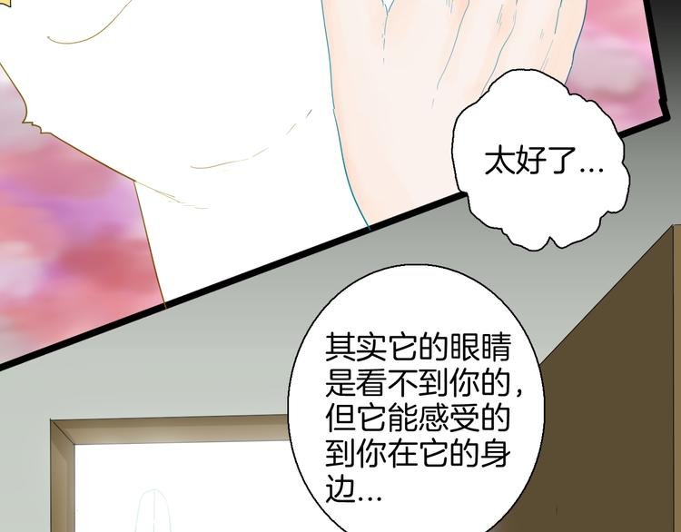 第164话 无常（二）