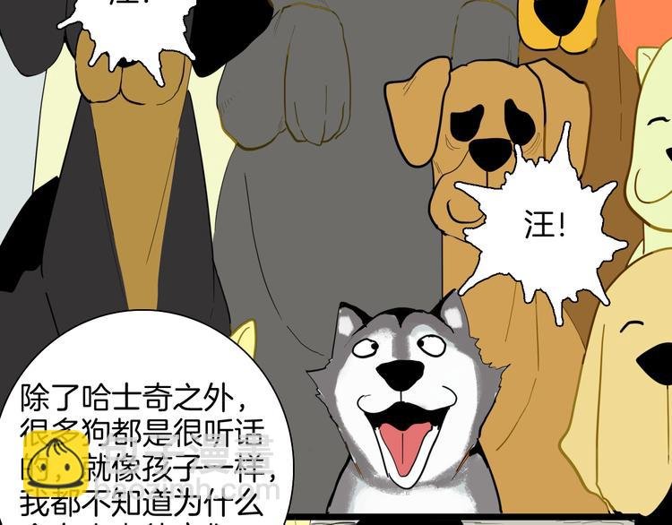 第164话 无常（二）