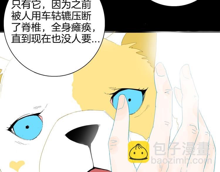 第164话 无常（二）