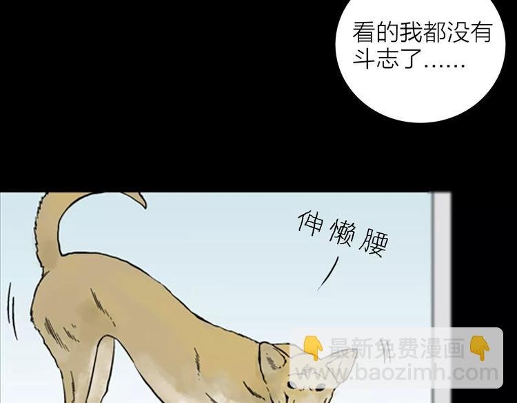 第17话 小店诡事