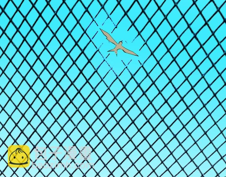 第170话 平凡鸭
