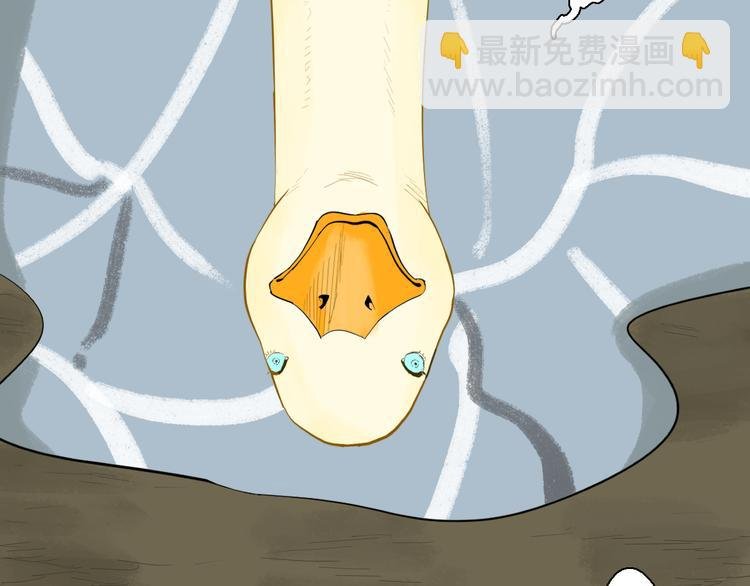 第170话 平凡鸭
