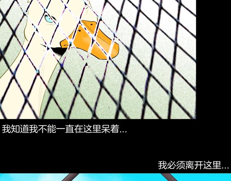 第170话 平凡鸭
