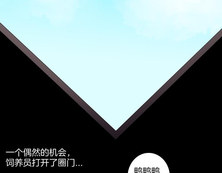 第170话 平凡鸭