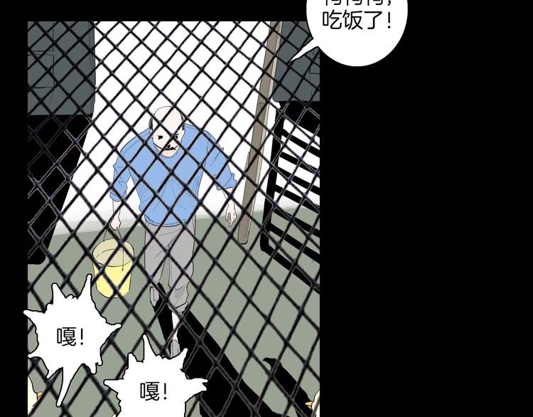 第170话 平凡鸭