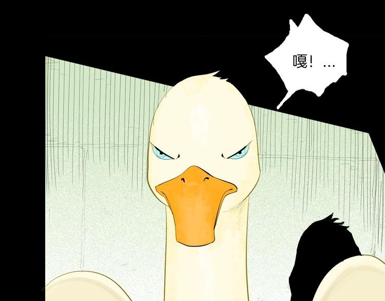 第170话 平凡鸭