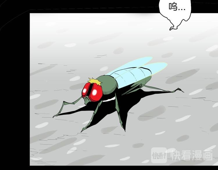 第182话 苍蝇人生