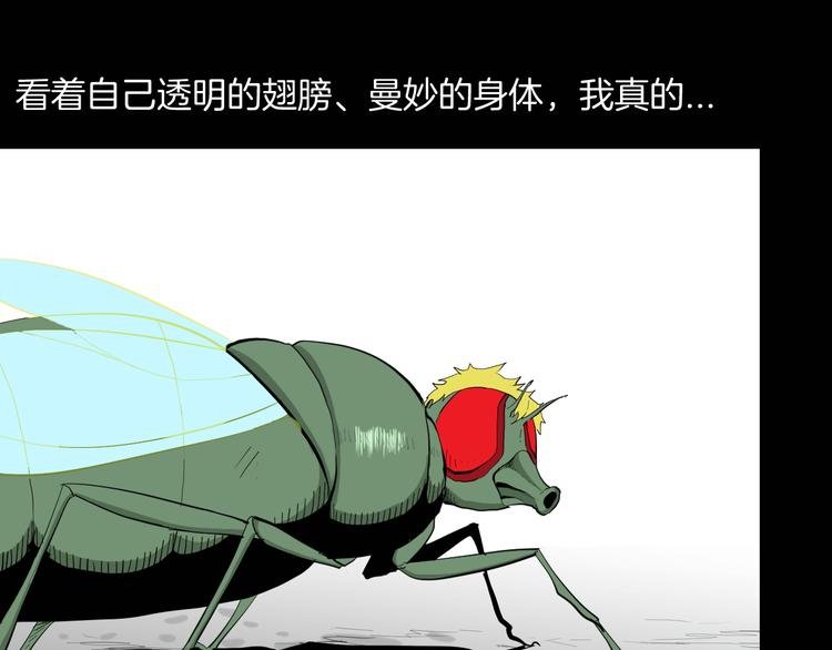 第182话 苍蝇人生
