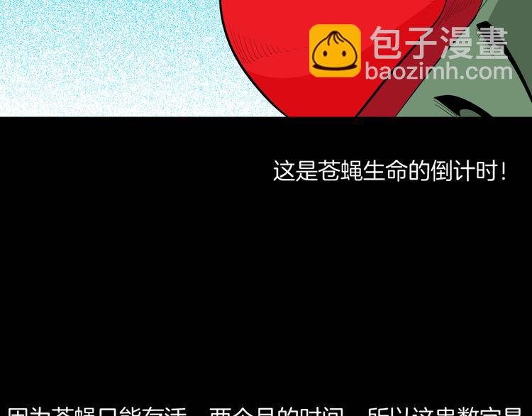 第182话 苍蝇人生
