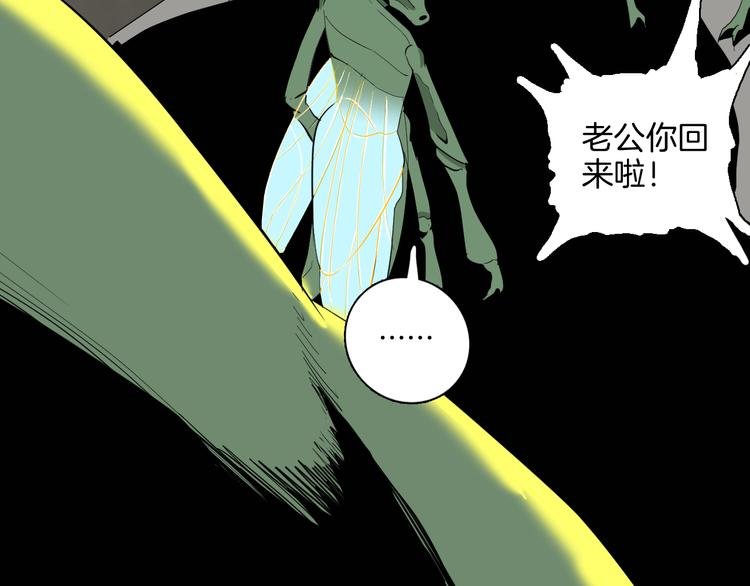 第182话 苍蝇人生