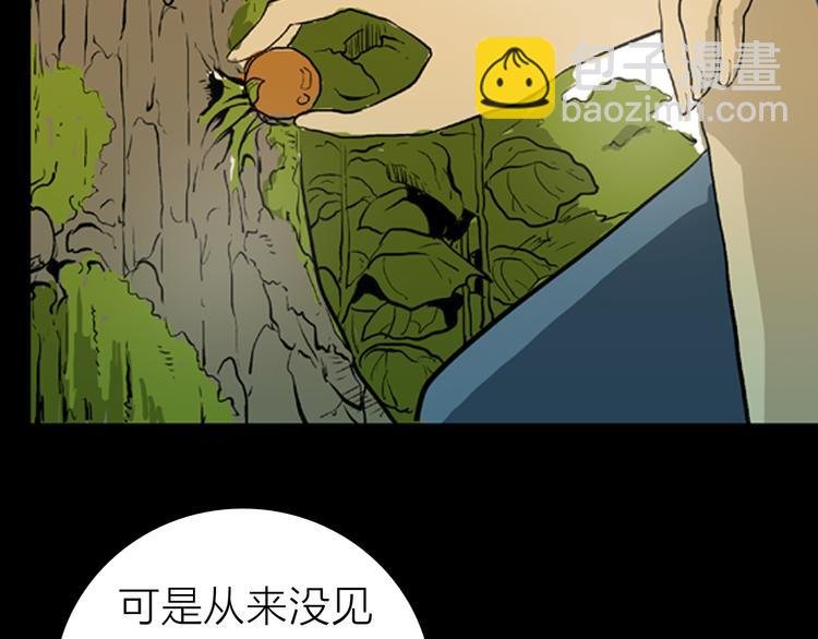 第2话 心之岛（一）