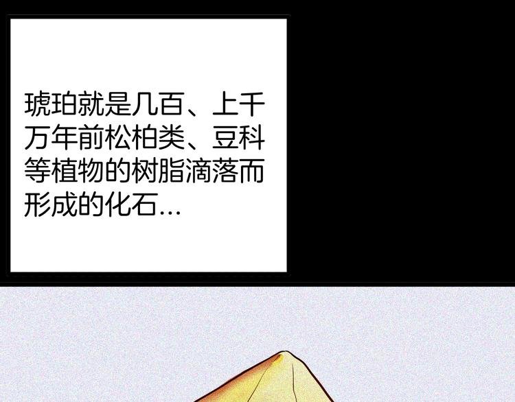 第55话 虫珀收藏家
