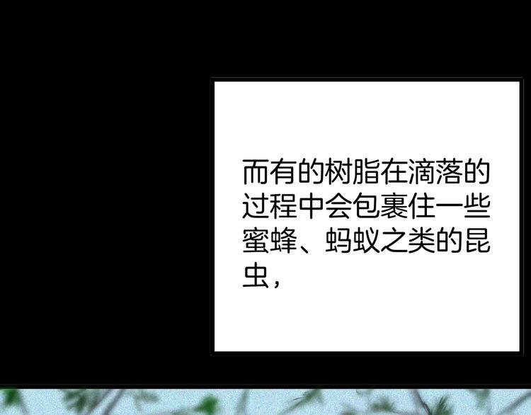 第55话 虫珀收藏家