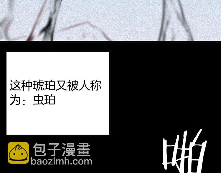 第55话 虫珀收藏家
