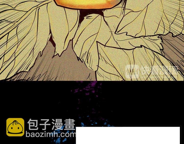 第55话 虫珀收藏家