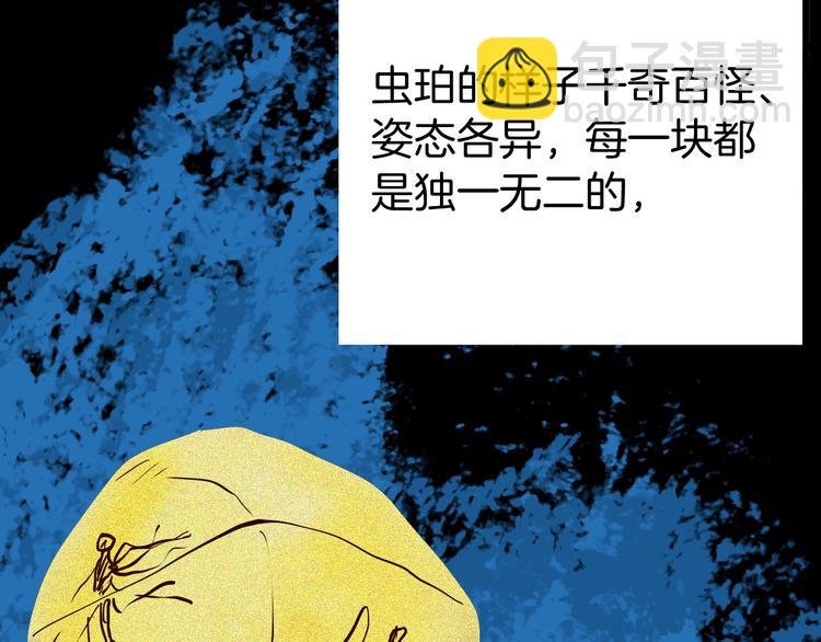 第55话 虫珀收藏家