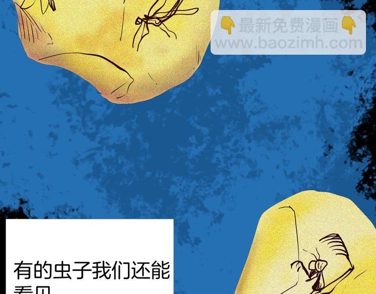 第55话 虫珀收藏家