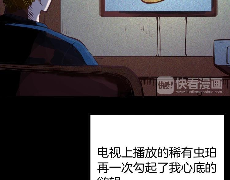第55话 虫珀收藏家