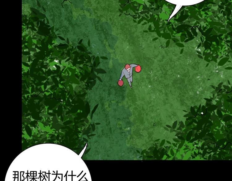 第86话 风（下）