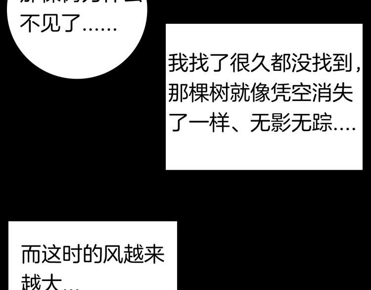 第86话 风（下）