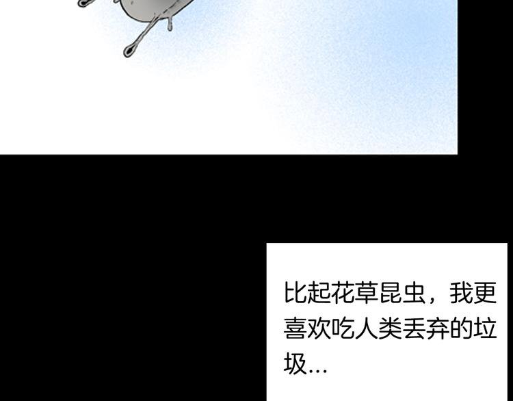 第90话 蛞蝓（上）