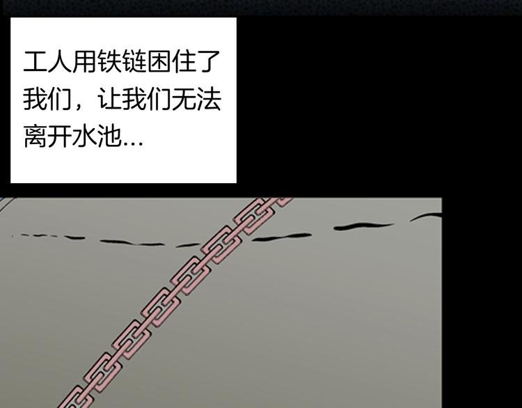 第91话 蛞蝓（下）