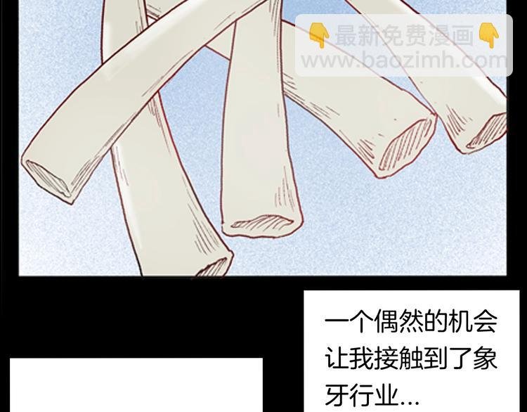 第93话 象牙