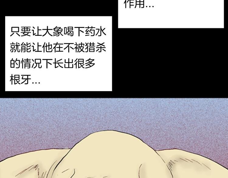 第93话 象牙