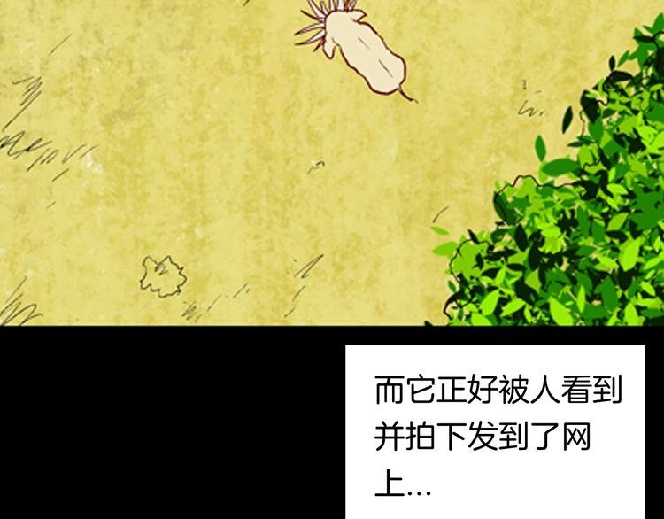 第93话 象牙