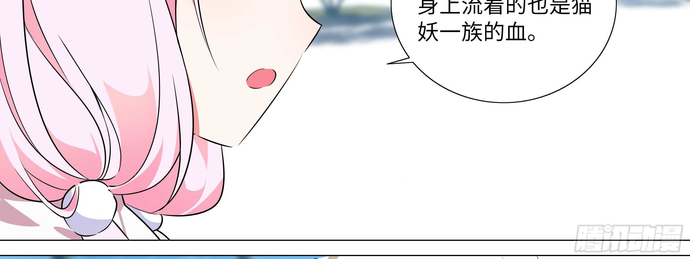 出发！猫之乡！