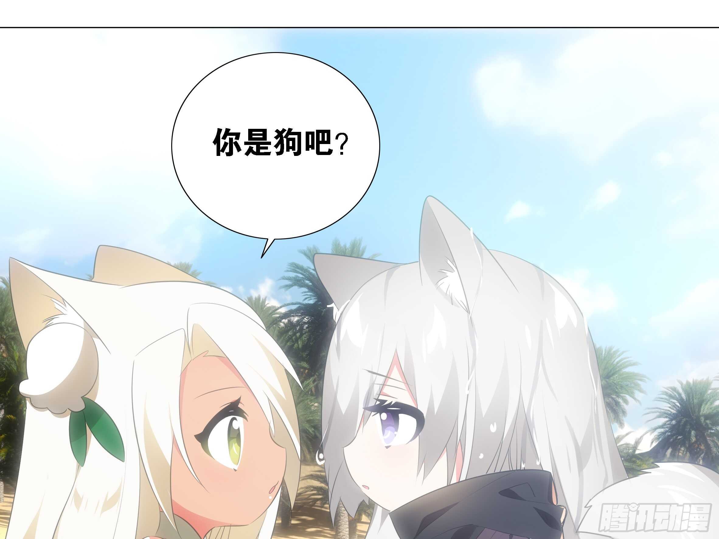 小猫娘与小犬娘