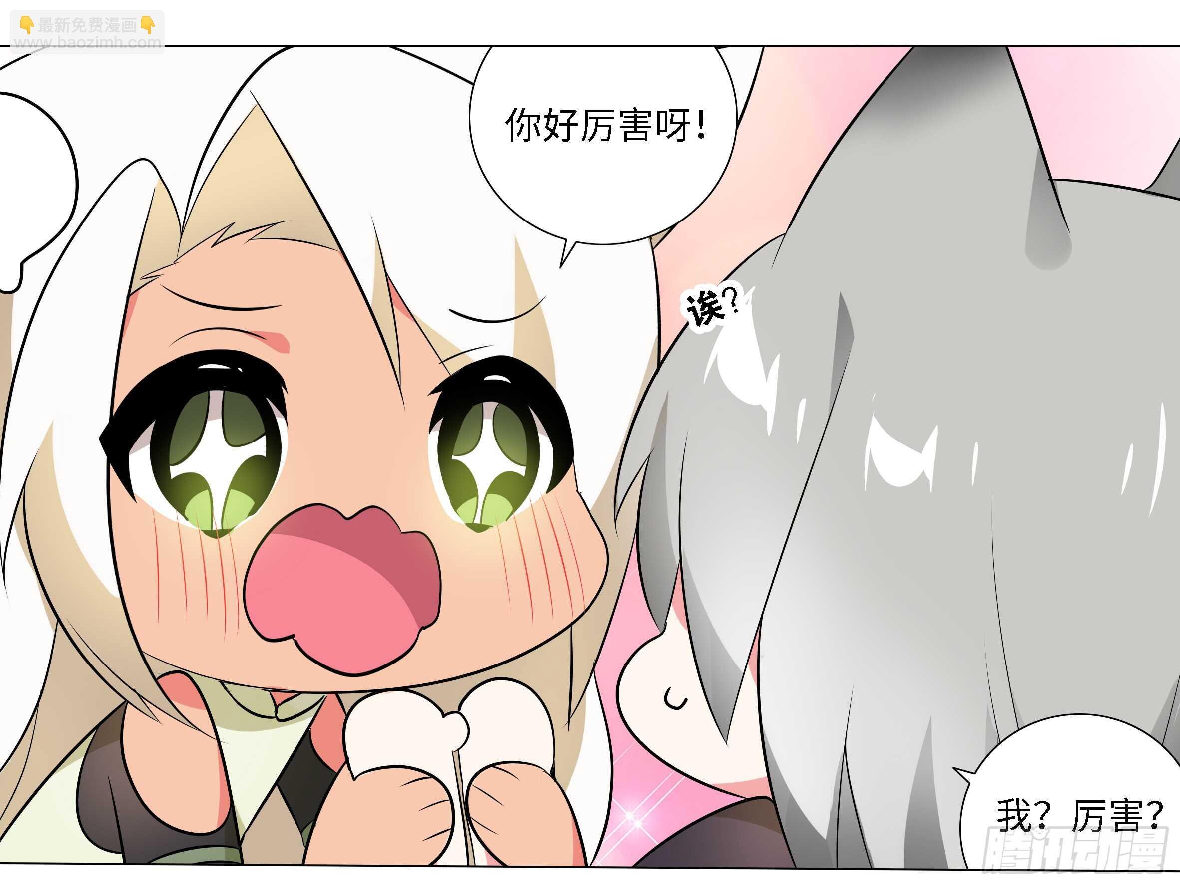小猫娘与小犬娘